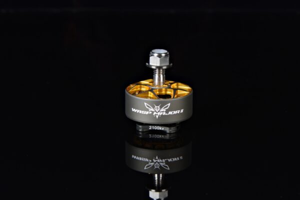 Rcinpower Wasp Major V2 Version 22.6-6.6 1980KV gunmetal Motor - Image 7